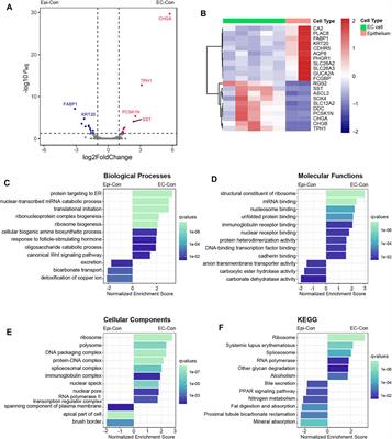 Digital Spatial Profiling Reveals Functional Shift of Enterochromaffin Cell in Patients With Ulcerative Colitis